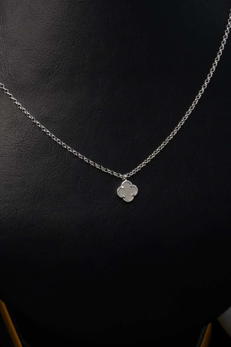 CADENA+MEDALLA EN PLATA 925